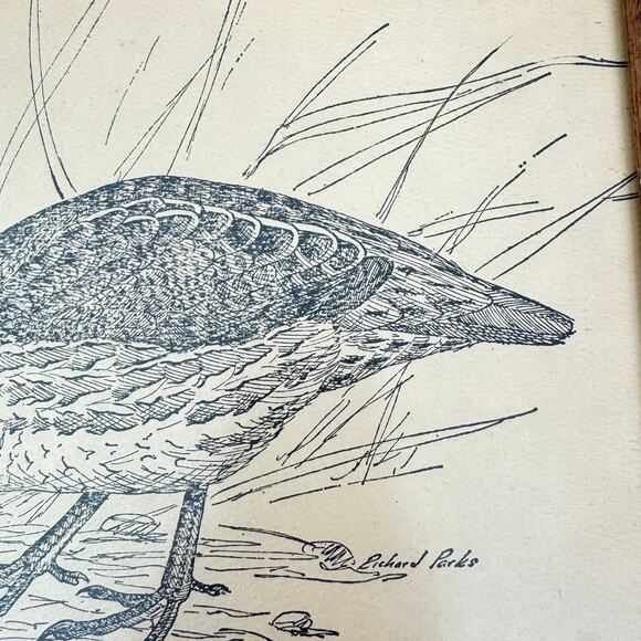 Richard A Parks Framed Bird Quail Illustratiion Illustrated Signed By Artist - Picture 4 of 7